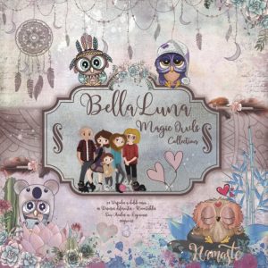 Papiers scrap - Bella Luna - Magic Owls - 30 x 30 Maxi